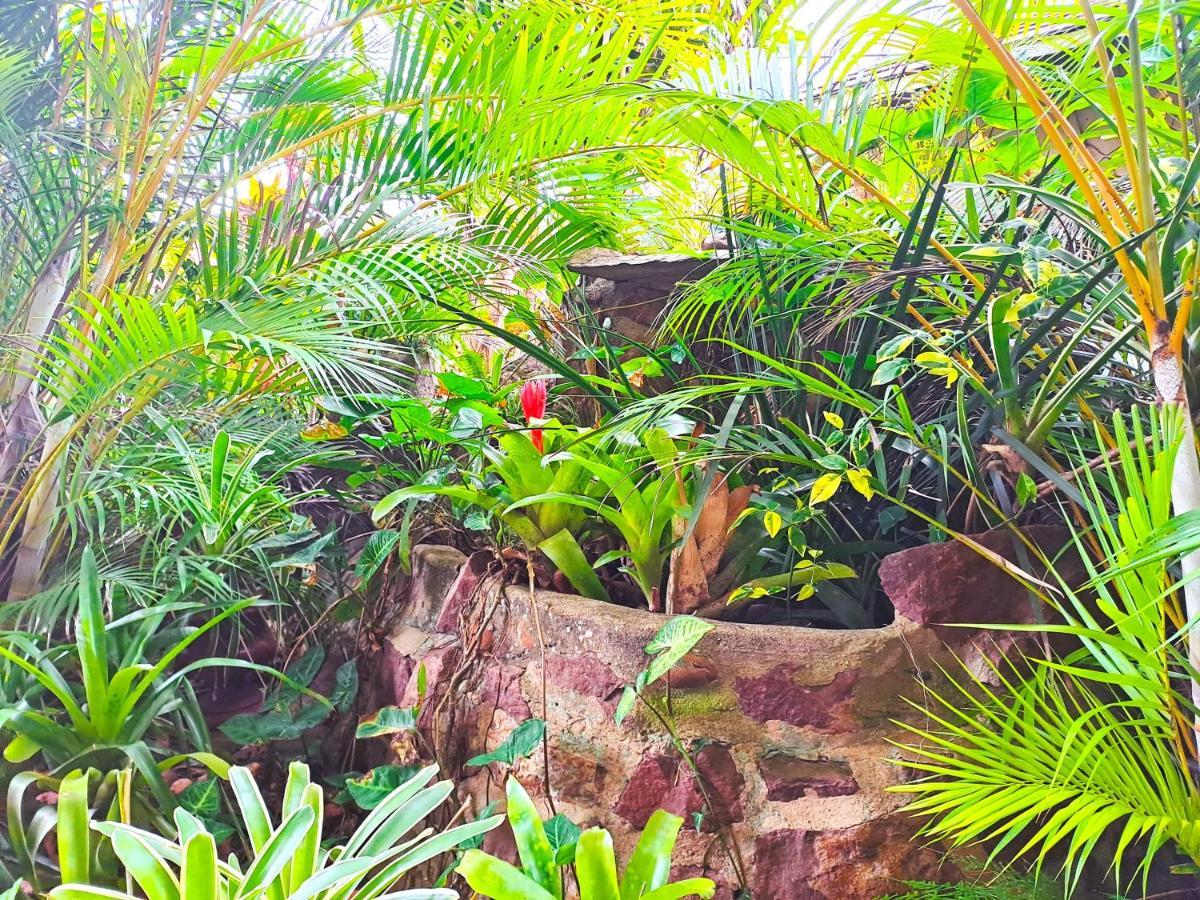 Old Mill Guest House Durban Buitenkant foto